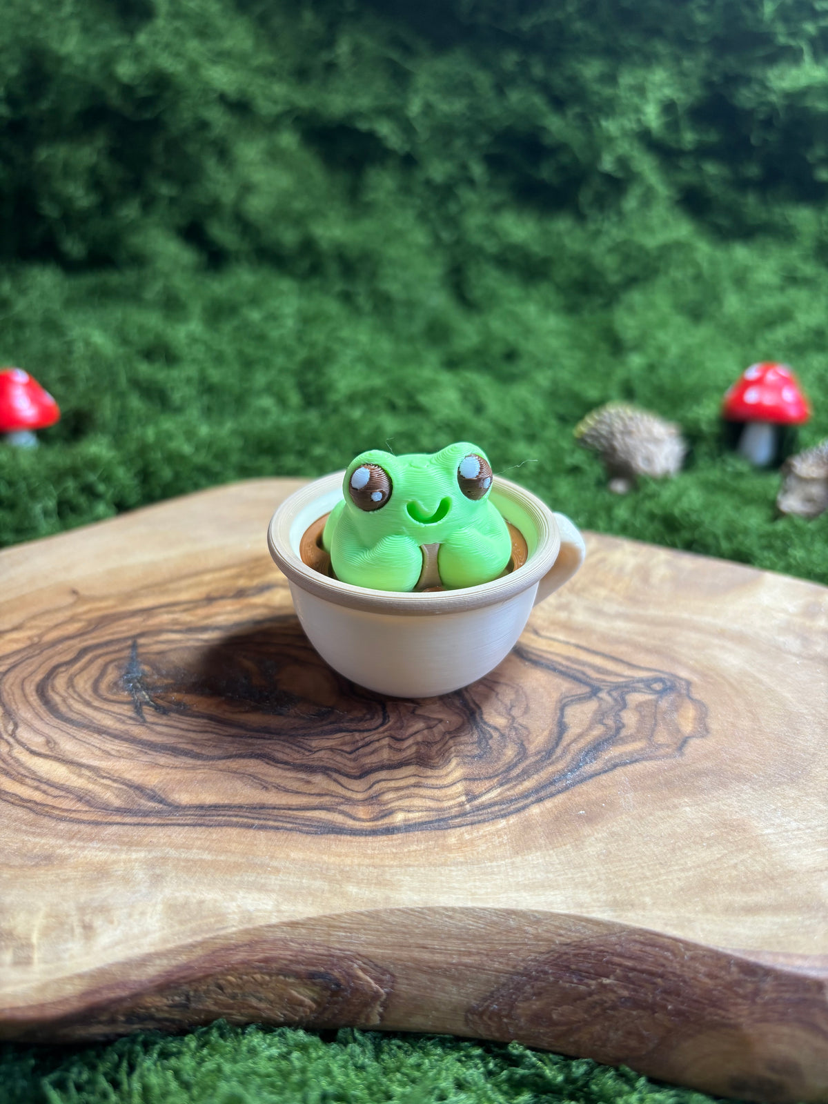 🍂 Cozy Magical Frog Friends 3D Printed Clicker Fidgets