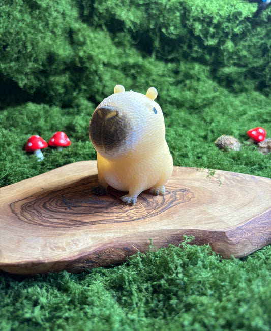 Capybara Squishy 🤎