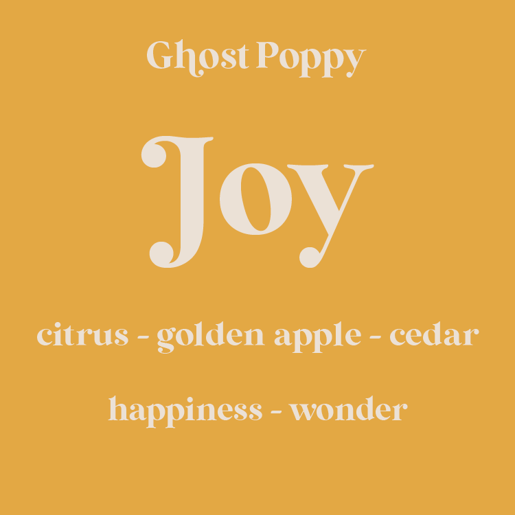 Ghost Poppy Intention Soy Candles – 7 Scents