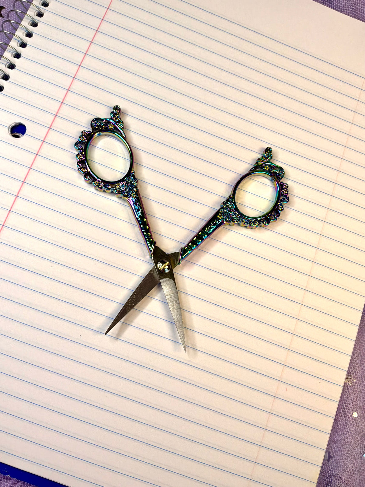 Enchanted Vintage Craft Scissors