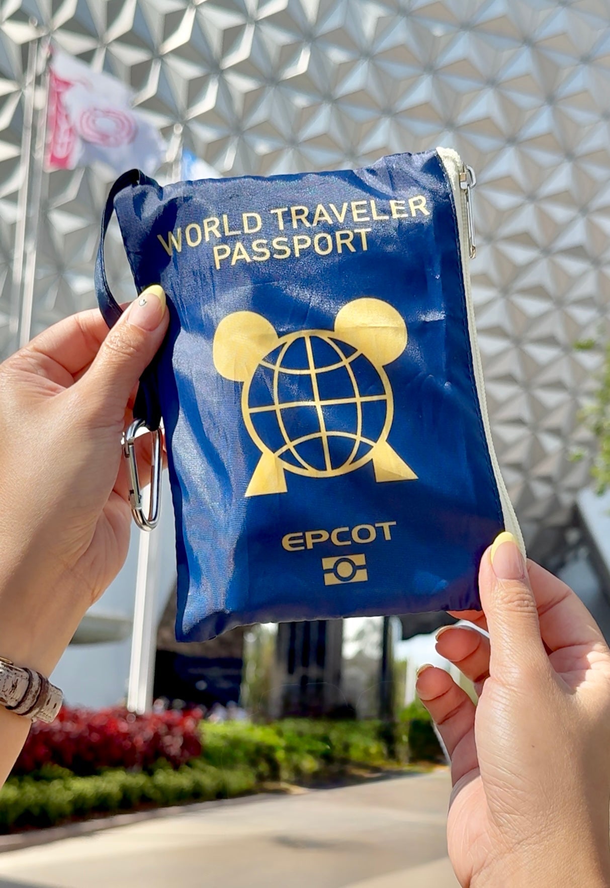World Traveler Reusable TOTE BAG