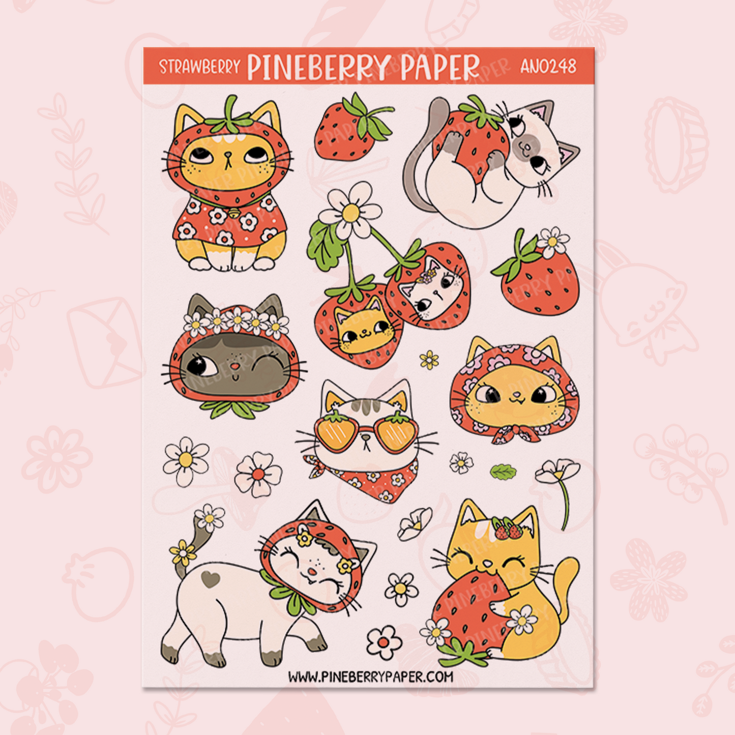 Strawberry Cats 2 | AN0248